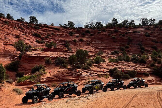 YOU DRIVE!! Rap & Ride - A Full Day of Rappelling and UTVs - A Deep Dive Into the Experience