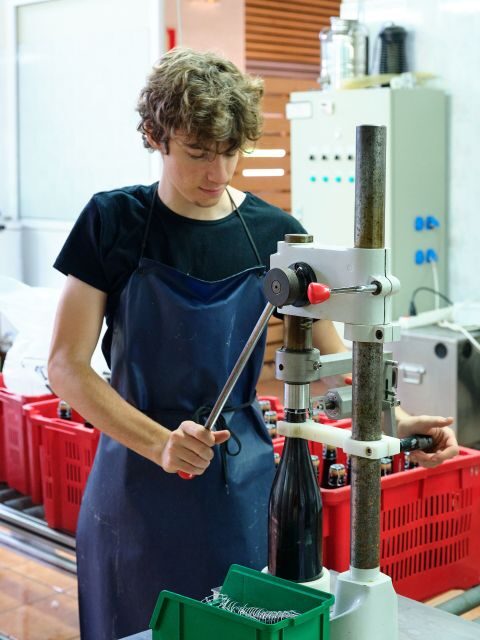 Your Cava, Your Story  Wine workshop experience at Artcava - What the Experience Feels Like