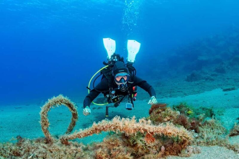 Your first introductory dive in Lanzarote with FREE photos. - Post-Dive & Photos