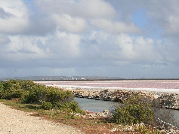 Your Guide Private Tour (North and South) Customize - Authentic Insights from Travelers