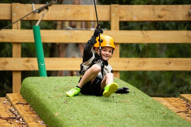 Your Little Ones Can Soar Through the Pines of Kuitpo Forest - Your Little Ones Can Soar Through the Pines of Kuitpo Forest