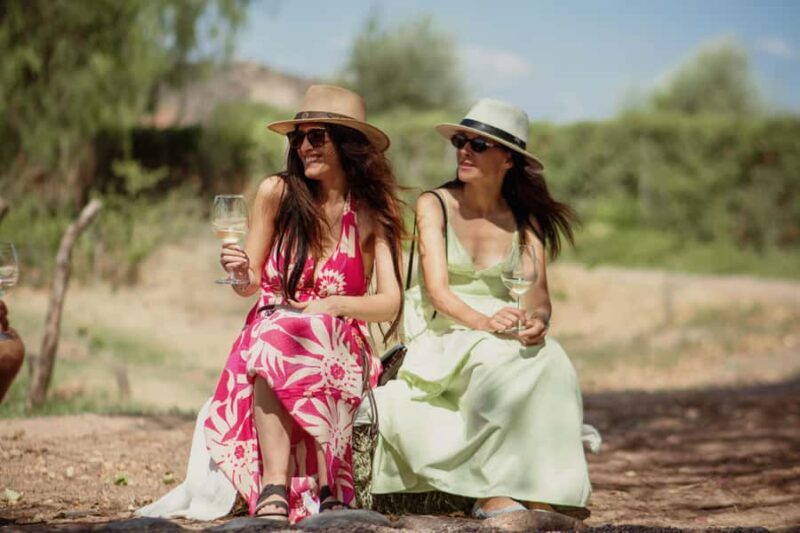 Your Personal Expert Concierge in Mendoza 24/7 - Final Thoughts: Who Should Consider This?