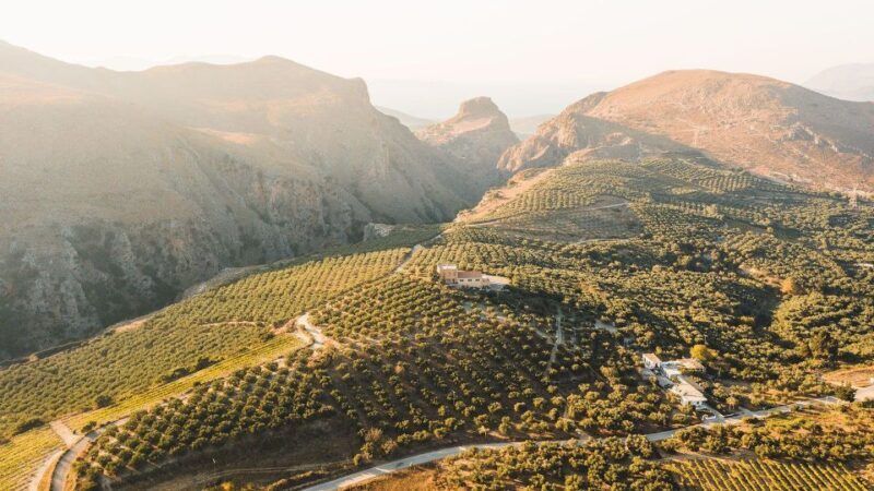 Your Tailored Elafonisi Escape. Luxury Day Tour from Chania. - The Final Word