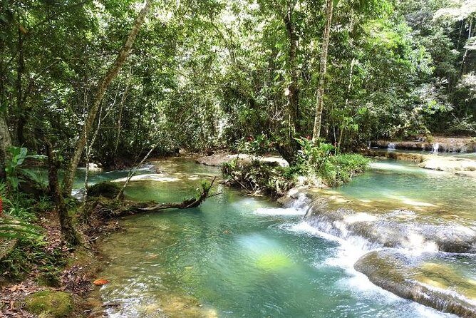 YS Falls and Appleton Estate Private Rum Tour - Who Is This Tour Best For?