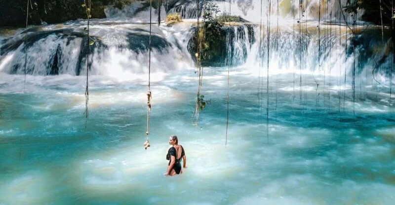 Ys Falls and Appleton Estate Private Tour - Key Points