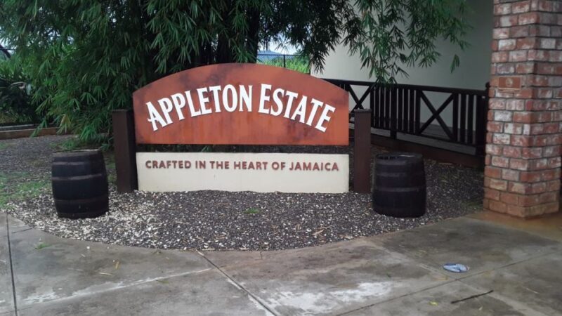 Ys Falls and Appleton Estate Private Tour - An In-Depth Look at the Ys Falls and Appleton Estate Private Tour