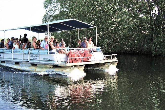 YS Falls and Black River Safari Guided Tour from Montego Bay and Grand Palladium - What the Tour Means for You