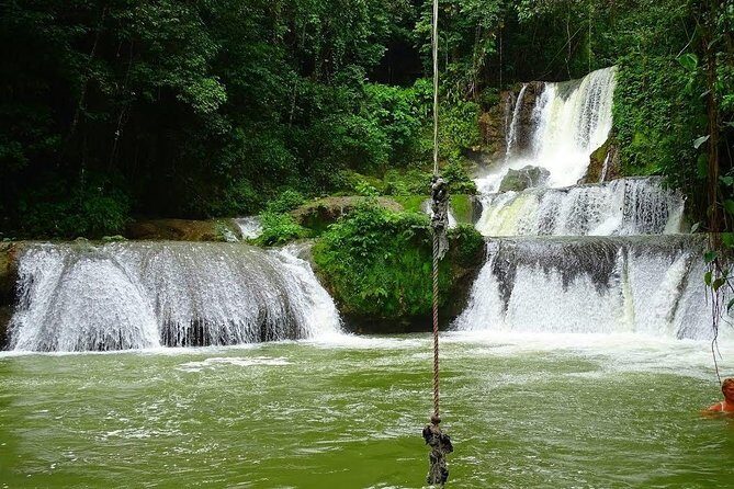 Ys Falls and Black River Safari Private Tour - Key Points