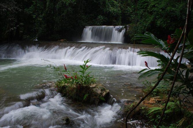 YS Falls and Floyds Pelican Bar - A Detailed Look at the YS Falls and Floyd’s Pelican Bar Tour