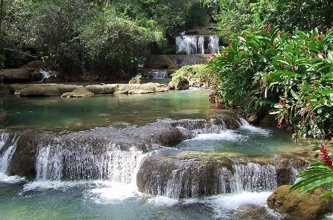YS Falls and The Pelican Bar Adventure Tour from Montego Bay - Authentic Experiences and Considerations
