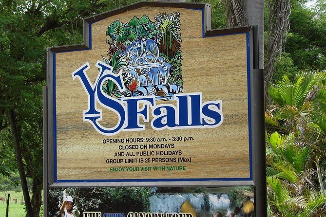YS Falls, Black River Safari, and Floyd's Pelican Bar Day-Trip (Transportation) - A Deep Dive into the Experience
