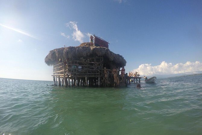 YS Falls, Black River Safari, Floyds Pelican Bar - Practical Details and What to Expect