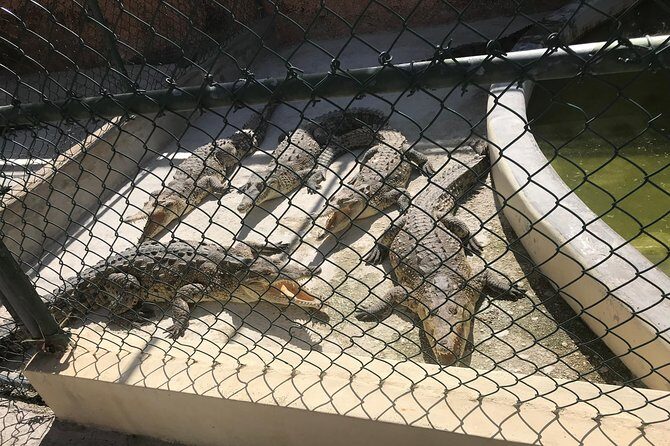 YS Falls, Black River Safari, Floyds Pelican Bar - Final Thoughts