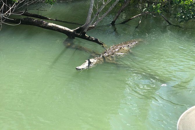 Ys Falls, Floyds Pelican Bar, Black River Safari - Final Thoughts