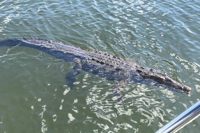 Ys Falls, Floyds Pelican Bar, Black River Safari - FAQ