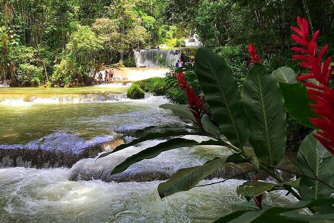 Ys Falls Private Tour - Exploring the Details of the Ys Falls Private Tour