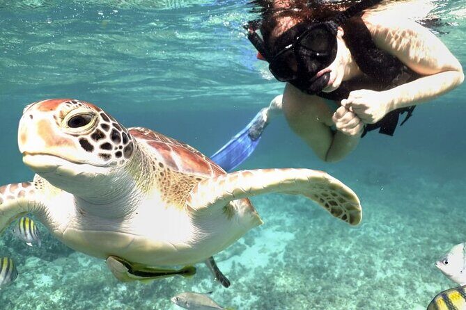 Yucatan Peninsula Full-Day Private Tour: Akumal, Tulum Ruins and Cenote Swim - An In-Depth Look at the Yucatán Peninsula Full-Day Tour