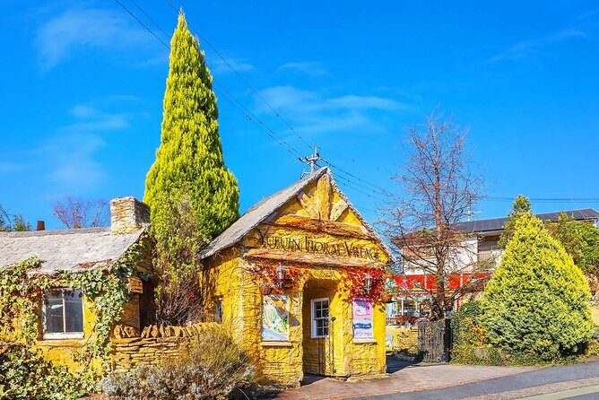 Yufuin Kinrin Lake Sea Hell Hot Springs Kyushu Zoo from Fukuoka - In Closing