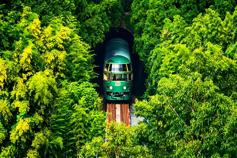 Yufuin no Mori Train Experience | Beppu Hell Tour + Kyushu Natural Animal Park + Yufuin Day Trip (Chinese and English Guides) - At a glance: what this day trip includes