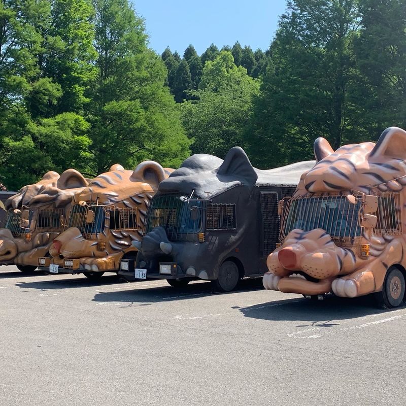 Yufuin no Mori Train Experience | Beppu Hell Tour + Kyushu Natural Animal Park + Yufuin Day Trip (Chinese and English Guides) - Yufuin: lake reflections, sweets, and a little free time