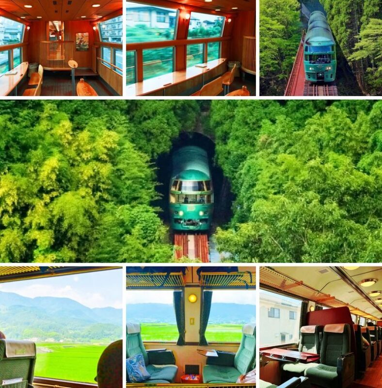 Yufuin no Mori Train Experience | Beppu Hell Tour + Kyushu Natural Animal Park + Yufuin Day Trip (Chinese and English Guides) - Who should book this Fukuoka day trip?