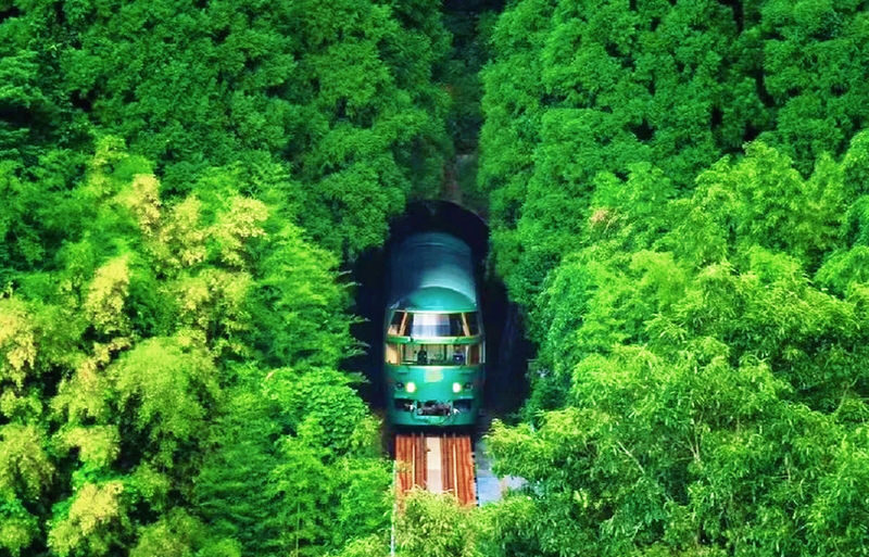 Yufuin no Mori Train Experience: Yufuin Onsen Town & Kyushu Zoo & Beppu Hells or Dazaifu Tenmangu Shrine + Beppu Ropeway Tour - A full Kyushu day, with two different versions