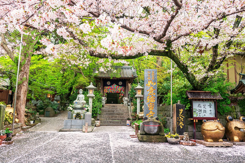 Yufuin no Mori Train Experience: Yufuin Onsen Town & Kyushu Zoo & Beppu Hells or Dazaifu Tenmangu Shrine + Beppu Ropeway Tour - What the price covers, and what it does not