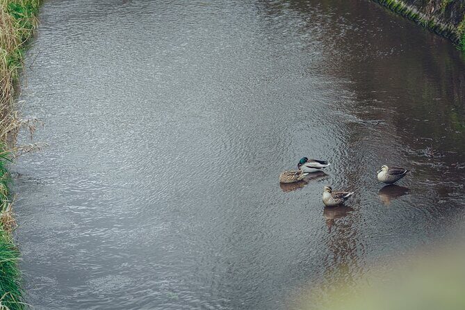 Yufuin Onsen Private Guided Walking Tour - Who Should Consider This Tour?