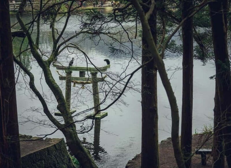 Yufuin: Onsen Wellness & Culinary Delights Guided Tour - Key Points