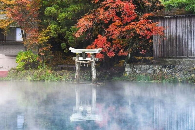 Yufuin: Onsen Wellness & Culinary Delights Guided Tour - Analyzing the Value