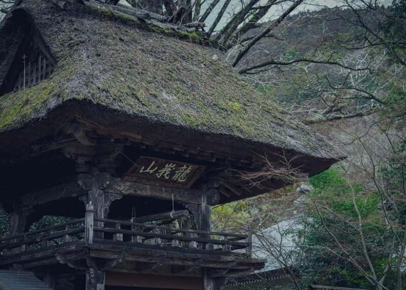 Yufuin: Onsen Wellness & Culinary Delights Guided Tour - Final Thoughts