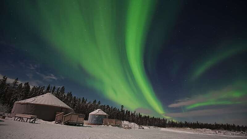 Yukon: Aurora Borealis Late Night Viewing Tour - Key Points