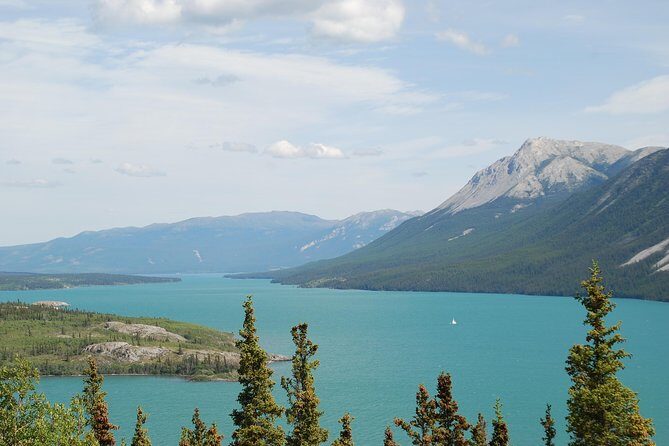 Yukon Extended Summit Drive Tour (From Skagway) - Who Should Consider This Tour?