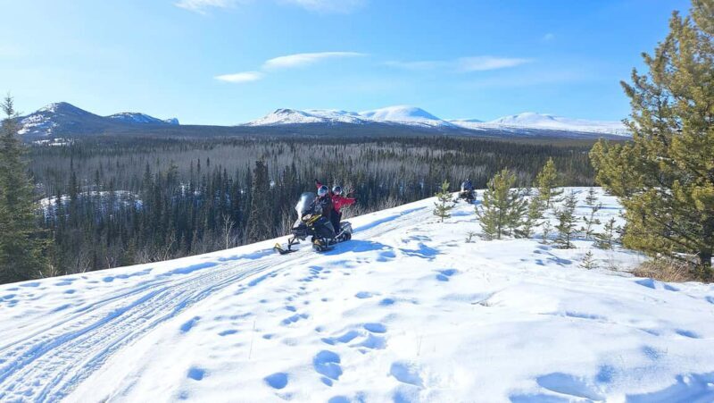 Yukon: Half-Day Snowmobile Tour - What’s Included and What to Expect