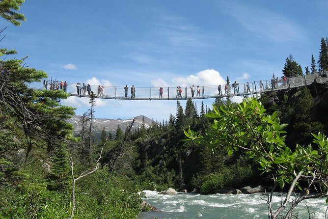 Yukon Suspension Bridge and Summit Tour - Analyzing the Value: Is It Worth the Price?