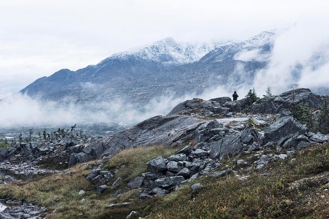 Yukon Suspension Bridge and Summit Tour - The Sum Up: Why This Tour Stands Out