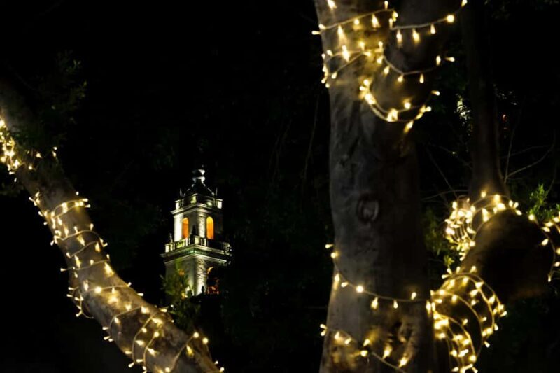 Yuletide in Mérida: A Private Tour Through Holiday Splendor - Key Points