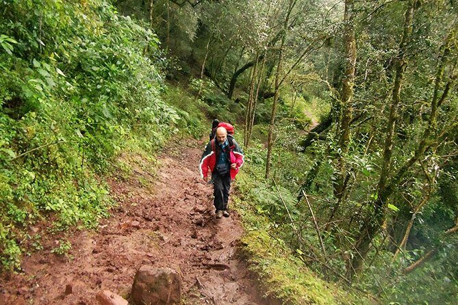 Yungas Half-Day Tour from Tucuman - Key Points