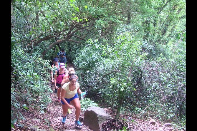 Yungas Half-Day Tour from Tucuman - FAQs