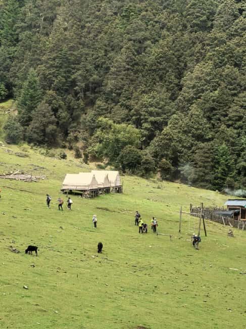Yunnan: 2-Day Tour to Haba and Black Sea Lake - Starting Point: Lijiang and the Journey to Haba Village