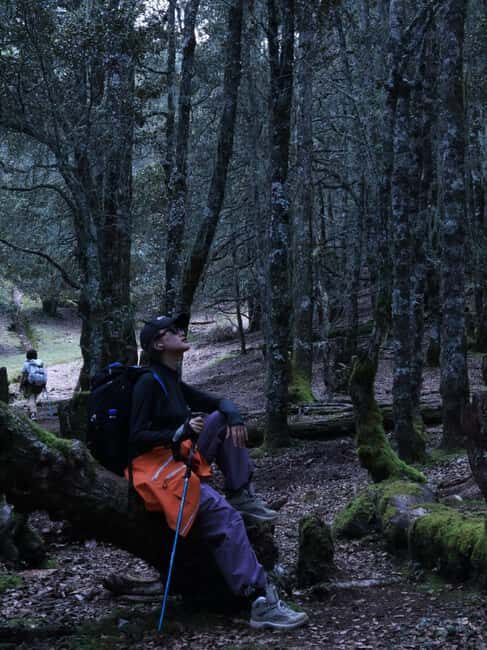 Yunnan: 3-Day Hiking Tour of Haba Snow Mountain - Yunnan: 3-Day Hiking Tour of Haba Snow Mountain