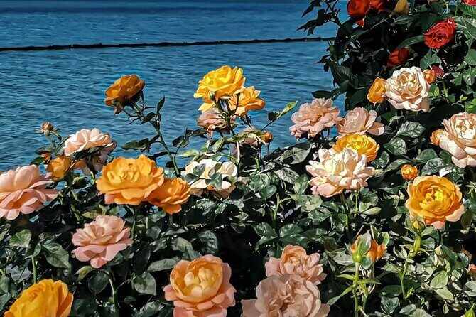 Yunnan Dali Erhai 3 Pagodas of Chongsheng Temple One Day Tour - The Detailed Experience: What to Expect