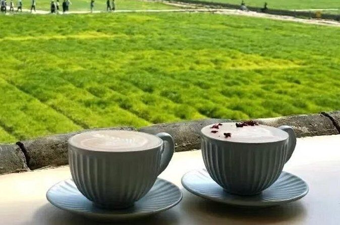 Yunnan Dali Erhai 3 Pagodas of Chongsheng Temple One Day Tour - Who Will Love This Tour?