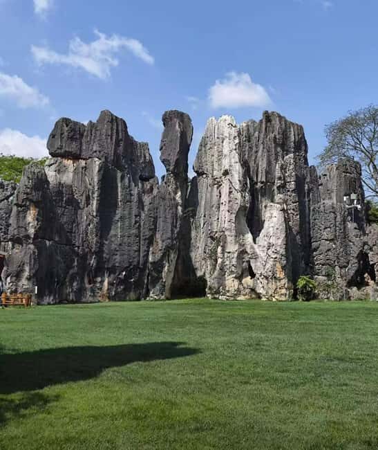 Yunnan: Private Day Tour to Stone Forest - What Travelers Say