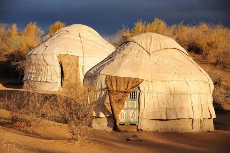 Yurt Camp Tour with Night from Bukhara - Authenticity and Value