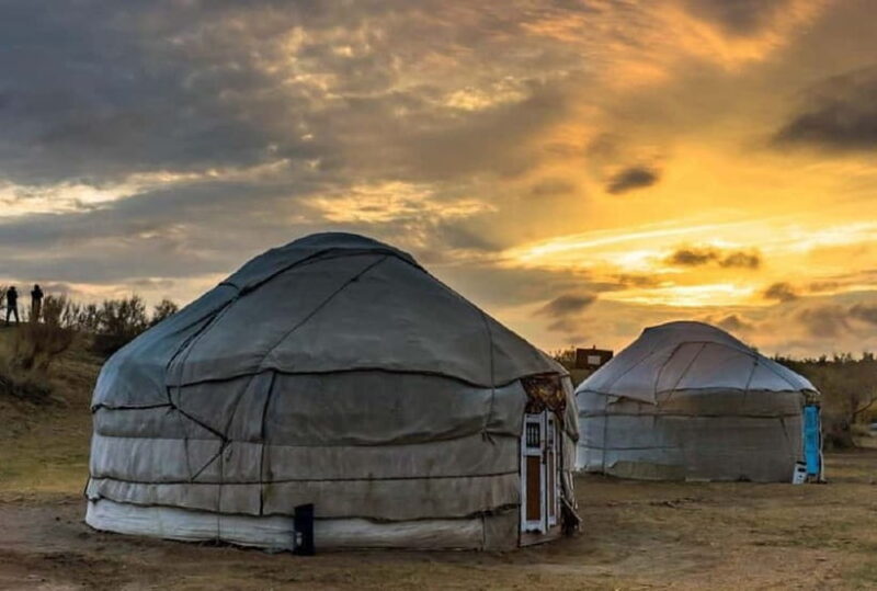 Yurt Camp Tour with Night from Bukhara - The Sum Up