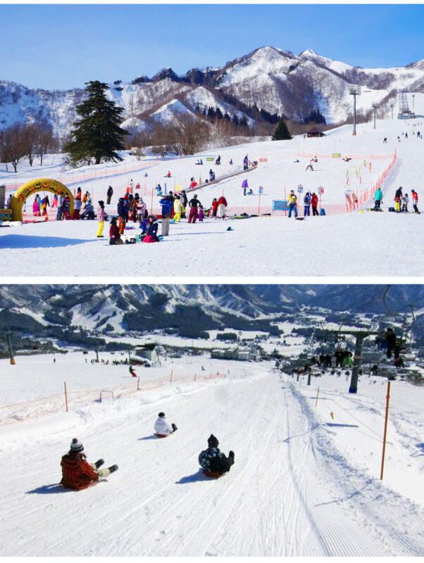 Yuzawa Iwappara Ski Resort Snow Play & Ski Day Trip (From Tokyo) - Choosing a package without paying twice