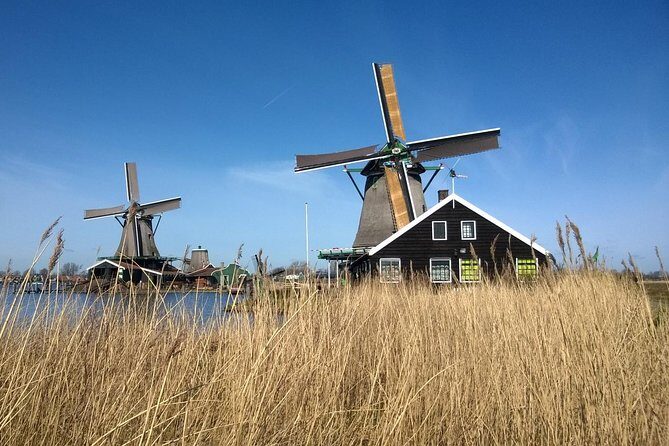 Zaanse Schans and Volendam Private Tour from Amsterdam - A Detailed Look at the Tour: From Windmills to Cheese and Fish