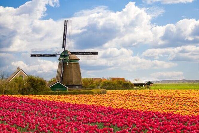 Zaanse Schans Windmills and Cheese Guided Tour from Amsterdam - Key Points