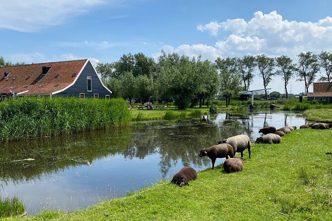 Zaanse Schans Windmills & Zaandam: Countryside Electric Bike Tour - What Makes this Tour Stand Out
